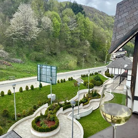20, Centar Apartment Brzece