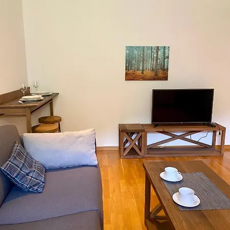 Apartment 20, Centar