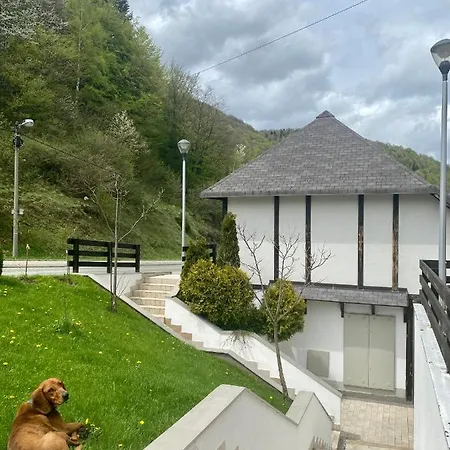 20, Centar * Brzece